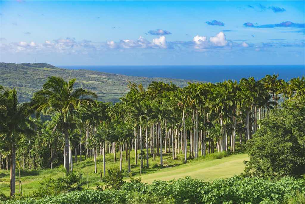 Apes-Hill-Barbados