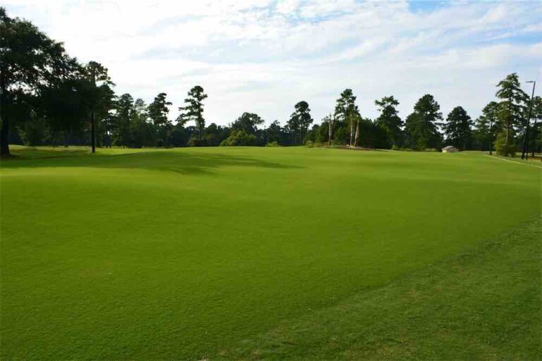 Putt for Dough: Santee’s Palmetto Traverse