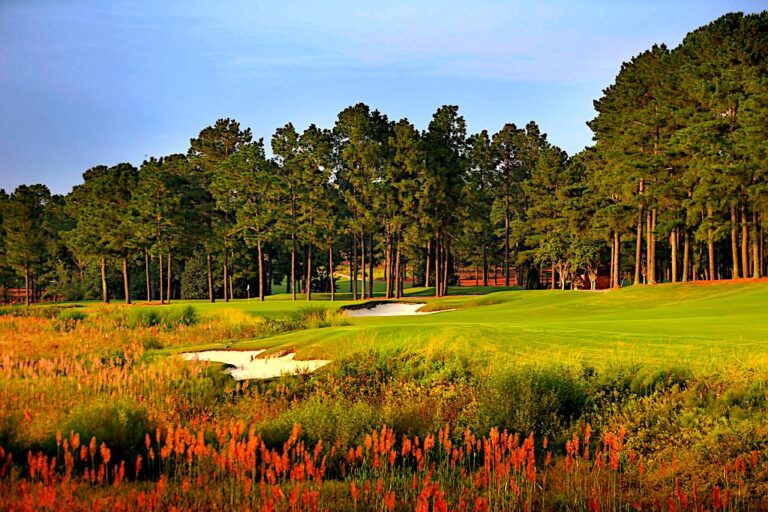 Pinehurst No. 8