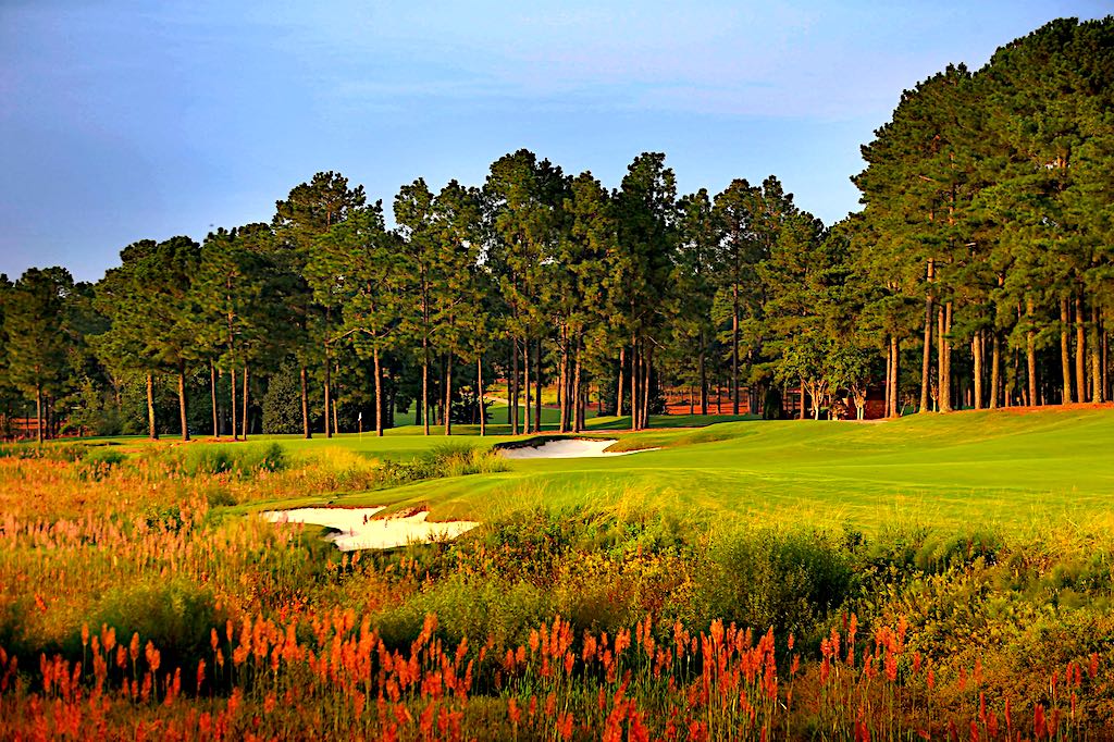 Pinehurst No. 8
